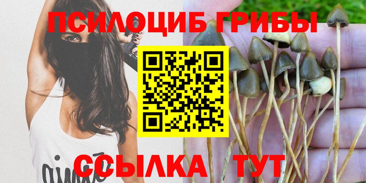 Галлюциногенные грибы GOLDEN TEACHER  Вход с VPN  Псилоцибиновые грибы GOLDEN TEACHER  Россошь 