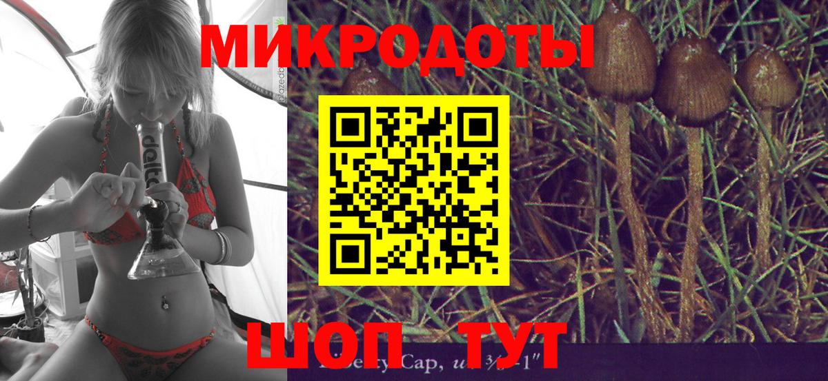 Псилоцибиновые грибы Psilocybe Россошь